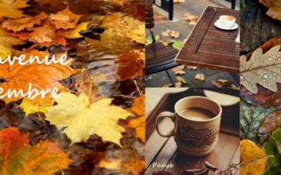 Bulletin MétéoAstro© du 2 novembre 2016