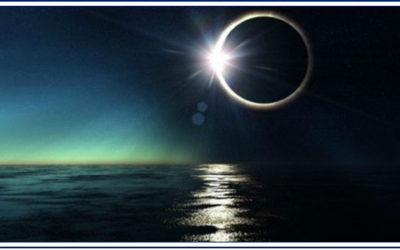 Article – 29 janvier 2018