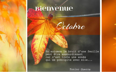 Bulletin MétéoAstro© du 4 octobre 2017