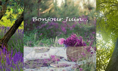 Bulletin MétéoAstro© du 4 juin 2017