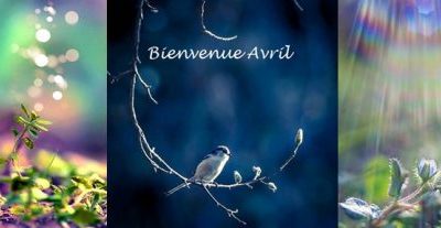 Bulletin MétéoAstro© du 4 avril 2017