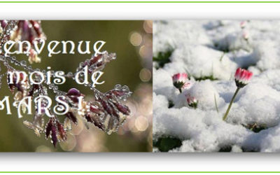 Bulletin MétéoAstro© du 1er mars 2018