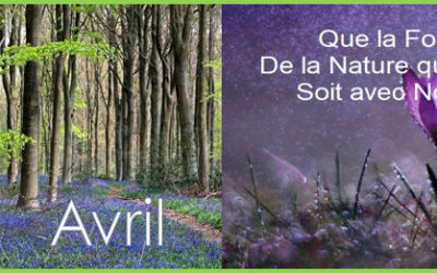 Bulletin MétéoAstro© du 4 avril 2018