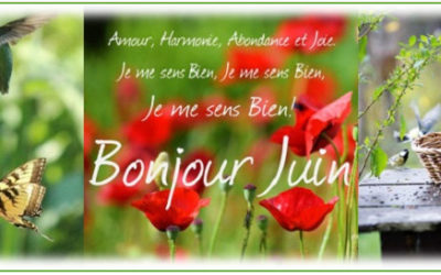 Bulletin MétéoAstro© du 4 juin 2018