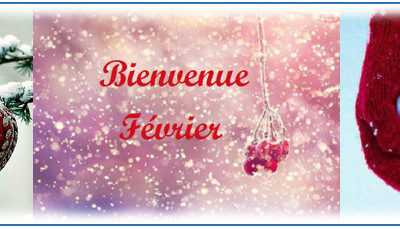 Bulletin MétéoAstro© du 4 février 2019