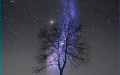 Décembre 2019 – annonce importante