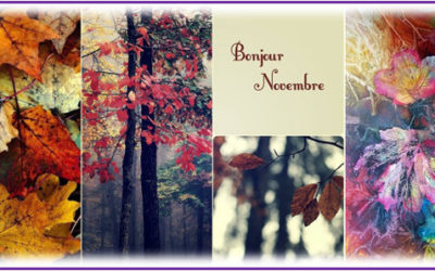 Bulletin MétéoAstro© du 4 novembre 2019