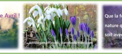 Bulletin MétéoAstro© du 4 avril 2020